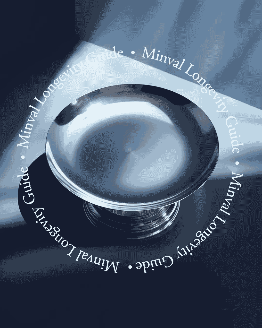 Silver Longevity Guide